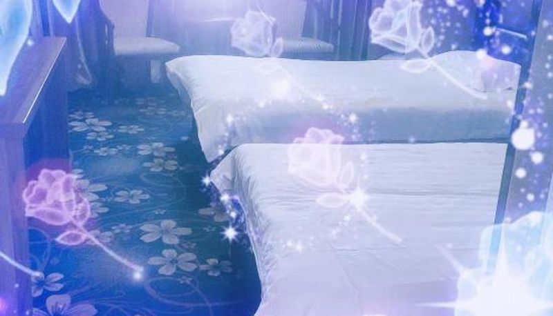 Camera - Changji Huayu Hotel
