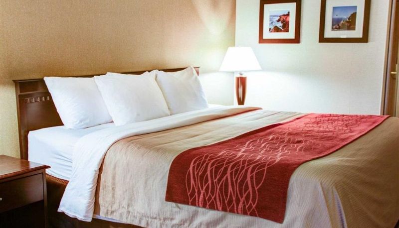 Camera - Quality Inn Florence