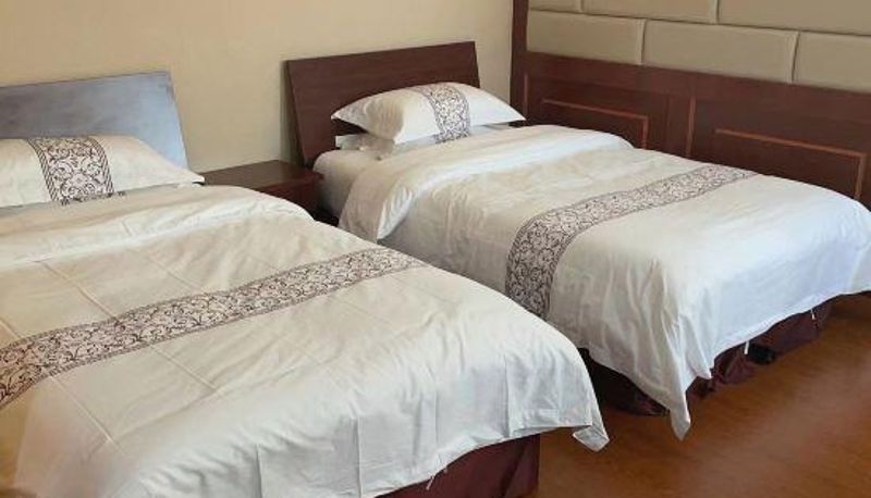 Widok wnętrza - ERDOS LONG CHI HOTEL