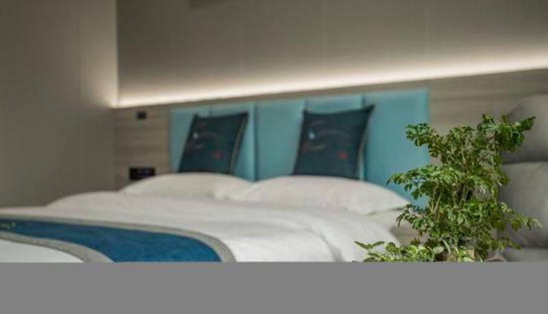 Business-Zimmer - Hanlan Hotel