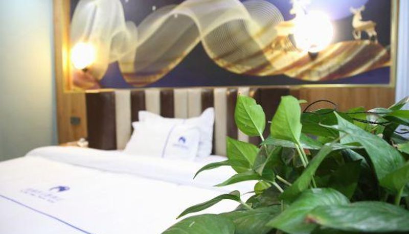 Zimmer - Liping Yehanxiang Theme Hotel