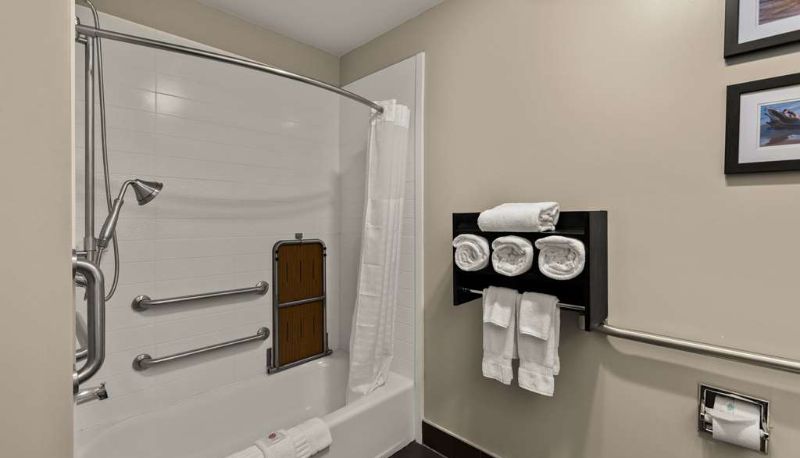 Room - Comfort Inn & Suites Ludington near US-10