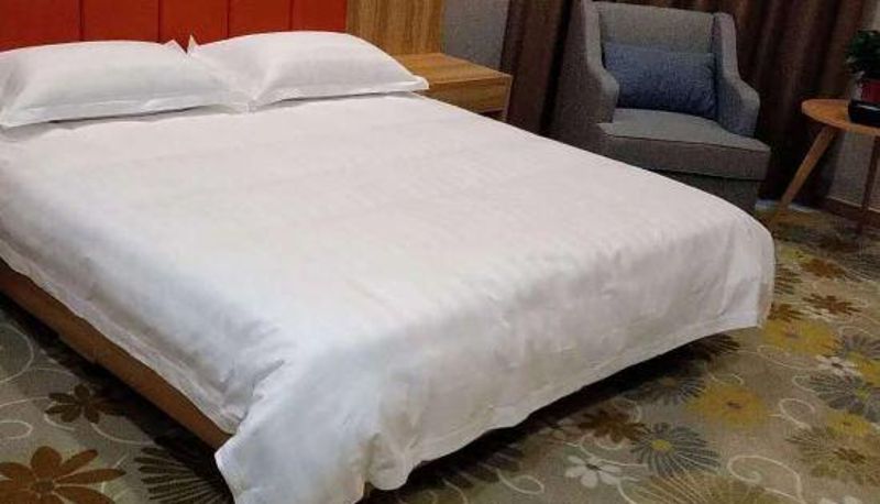 Widok wnętrza - Changxing Yaduo Hotel