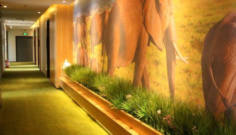 Recepción - Fangyuan Chain Hotel