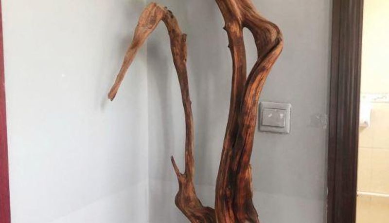 Innenbreich - Infinite Art Hotel