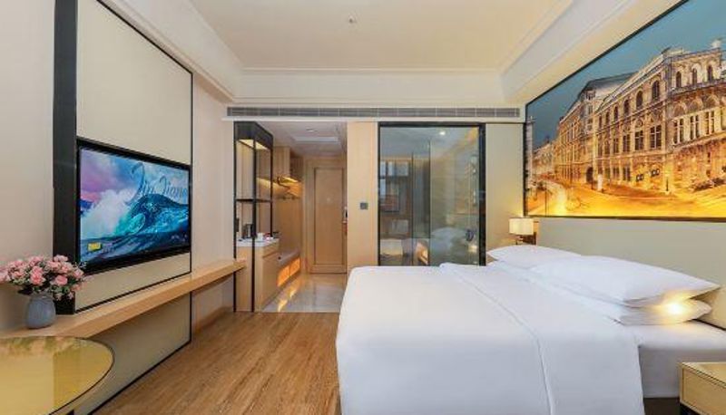 Camera business - Vienna Hotel (Jiangyou Baolong Plaza Fangte Branch)