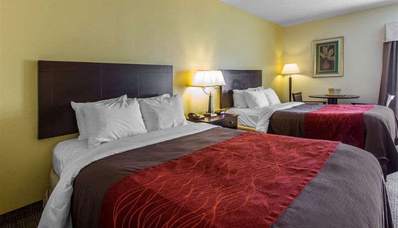 Zimmer - Comfort Inn & Suites Thomson