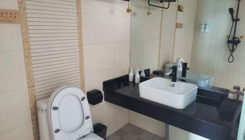 Zimmer - Dujuanhua Theme Hotel