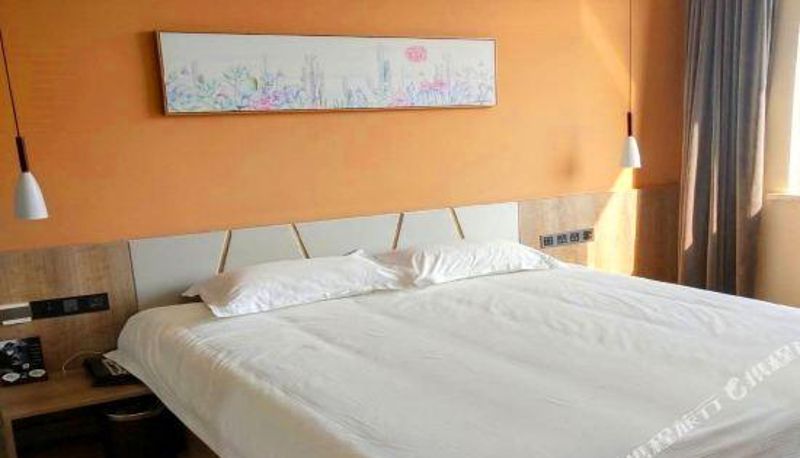 Camera - Molly Hotel