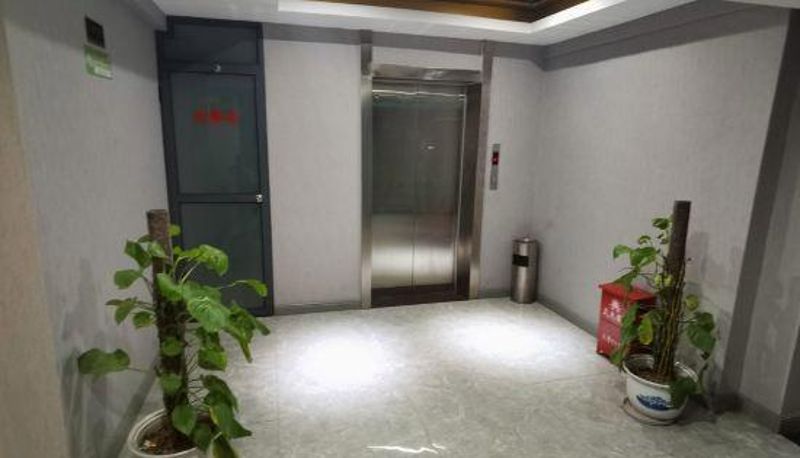 Widok wnętrza - Jane Ai Hotel (Nanping Yanping)
