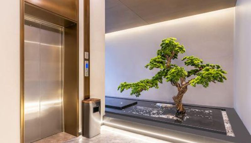 Receptie - Linyi Litai Select Hotel (Cangzhou Road Railway Station)