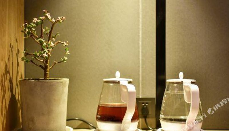 Widok wnętrza - TRUE GO HOTEL(Xilin Hot  Beizi Temple)