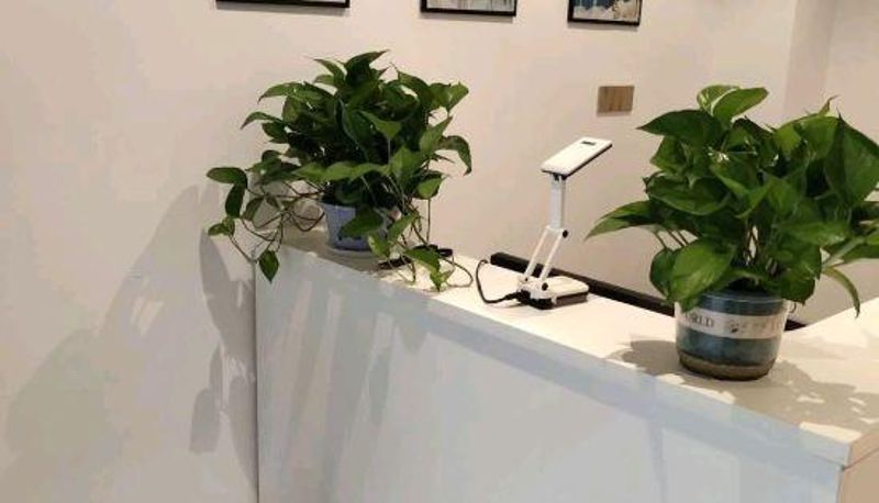 Recepción - Qianxun Apartment