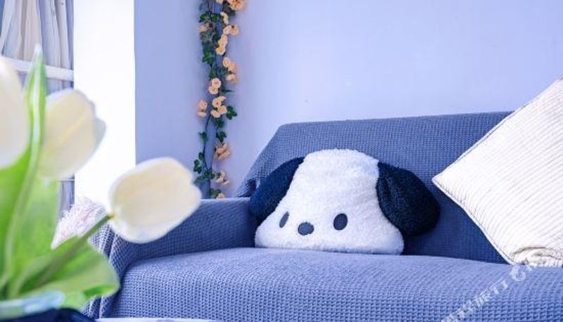 Camera - First View Apartment (Wuhan Hanfei Youth City)