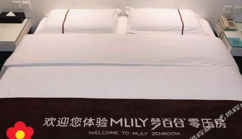 Room - Wuxiji Boutique Hotel (Wuhan Future Science & Technology City Huawei Institute Branch)