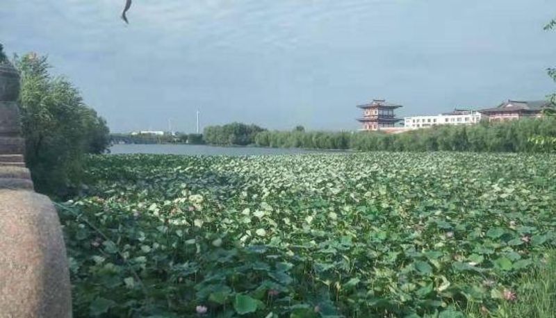 Innenbreich - Tangshan Nanhu Wine Island Hotel