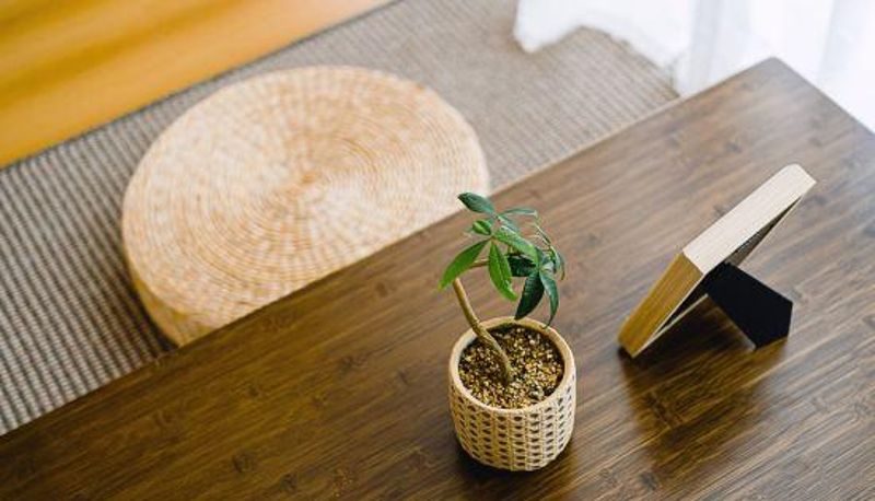Habitación - Luyi Hotel (Youbang Plaza Branch)