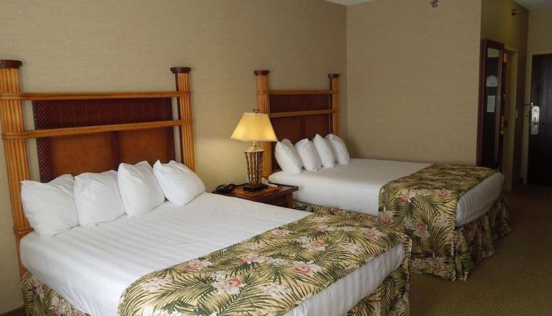 Standardzimmer - Maui Sands Resort & Indoor Waterpark