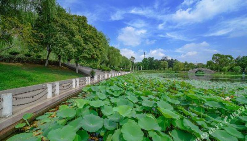 Widok wnętrza - 521 Theme Hotel (Shuyang Railway Station)