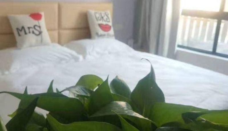 Camera - Haining 520 Boutique Hotel