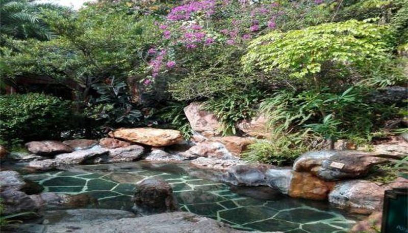 Camera business - Flower sea Stream ·hot spring vacation villa