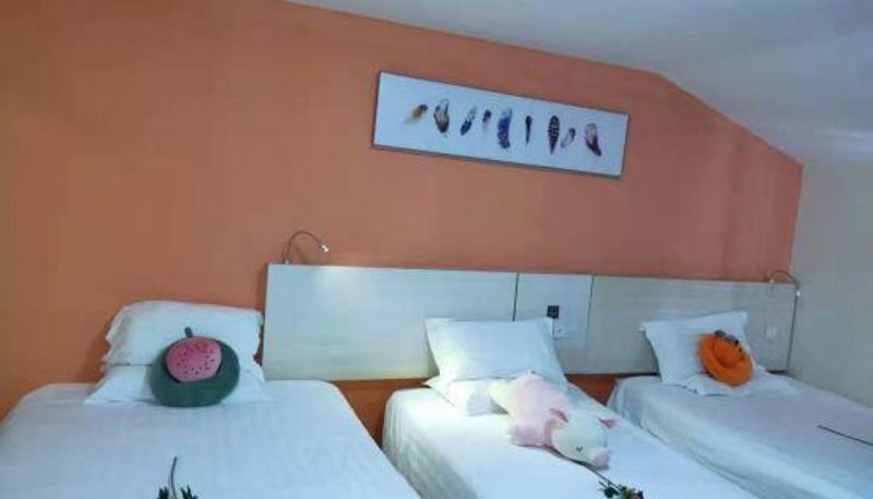 Zimmer - Wuyi Mountain Youth has your theme hotel