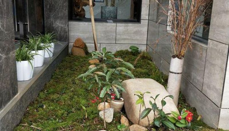 Vista interna - Tailong Guesthouse