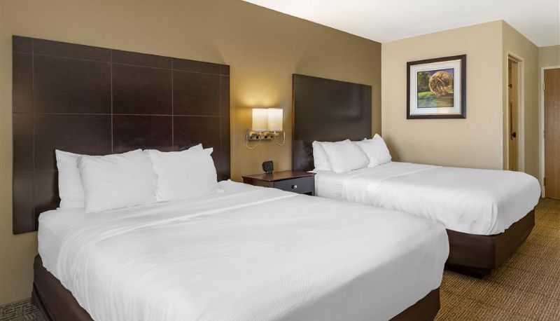 Camera - Comfort Inn & Suites