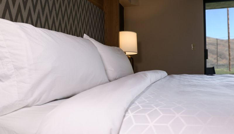 Zimmer - Holiday Inn CLARKSTON - LEWISTON by IHG