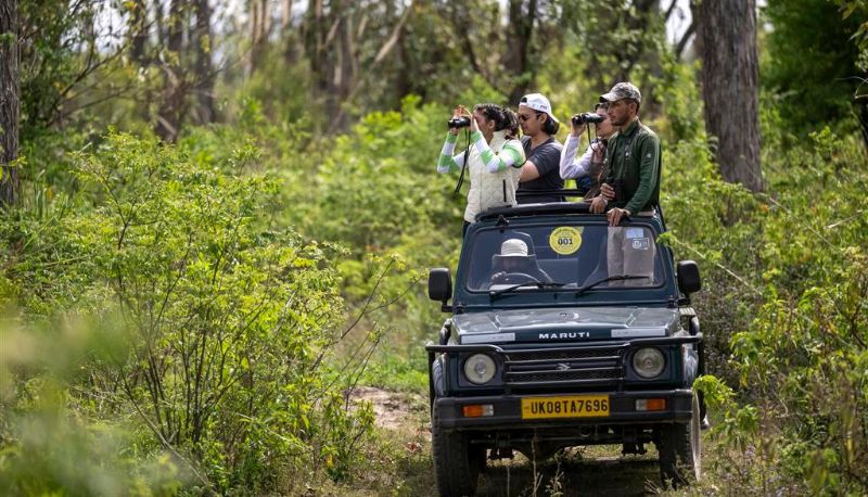 Area benessere - Aalia Jungle Retreat and Spa