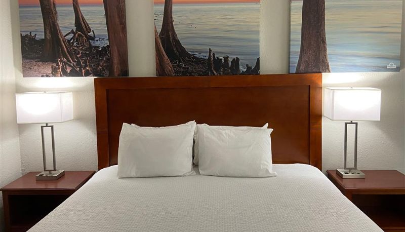 Zimmer - Days Inn by Wyndham Ozark