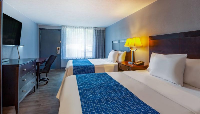 Chambre - Travelodge by Wyndham Charles Town/Harpers Ferry