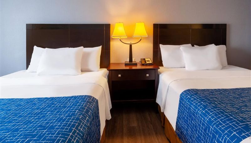 Chambre - Travelodge by Wyndham Charles Town/Harpers Ferry