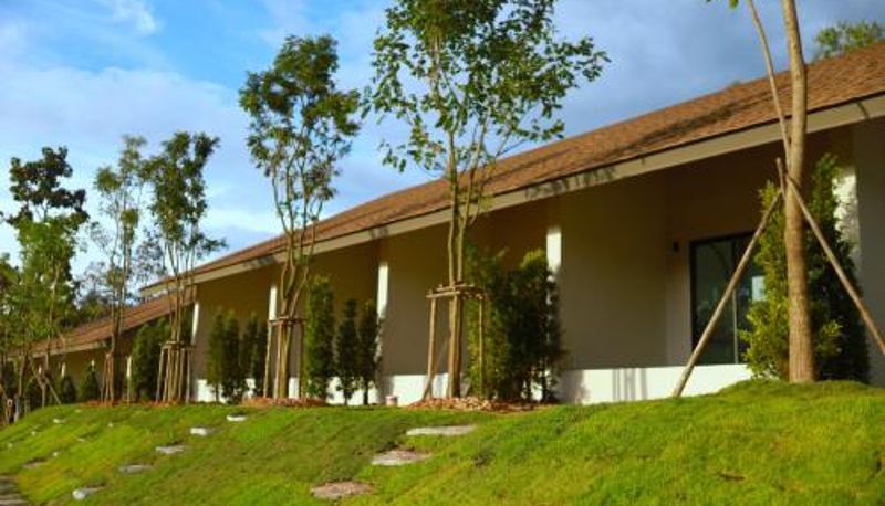 Info - PASSA ผัสสะ Tea Plantation @Mae On