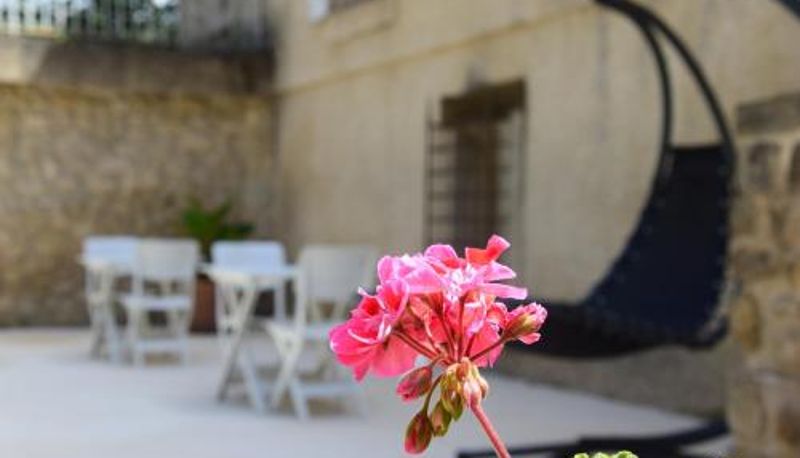 Info - Ventoux La Chambre des Amis au Moulin des GYPSES