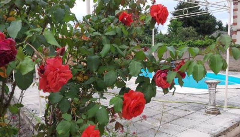 Piscina - Gite meublé et Chambre d'hôtes LE PUITS DARCY