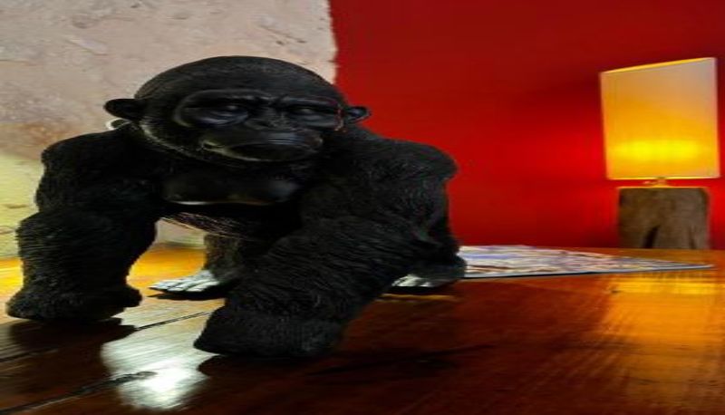 Informacje - BEARS N BREAKFAST