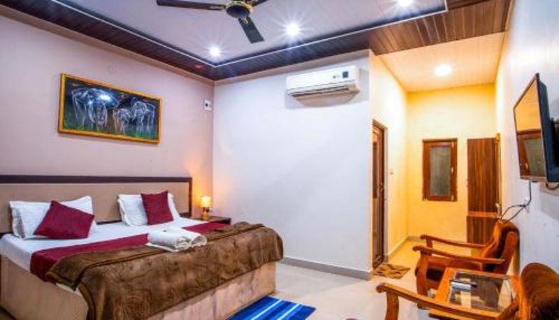 Oda - Jungle Palace Resort