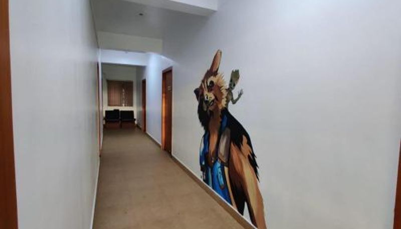 Información - Raccoon Rooms