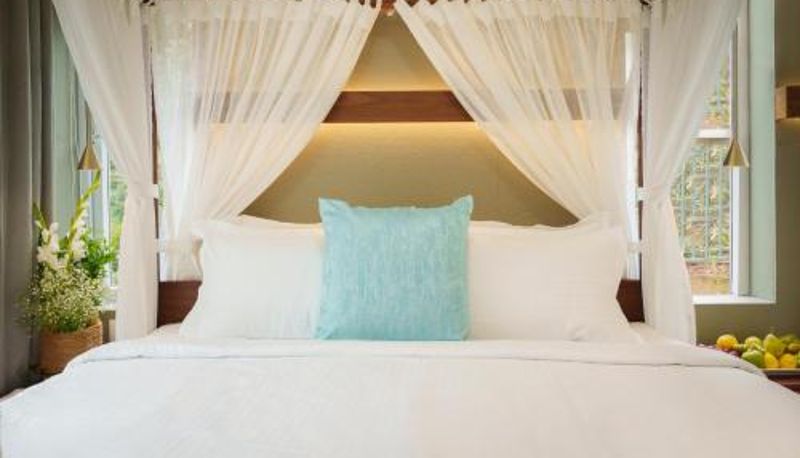Suite - Eden Woods Resorts and Spa
