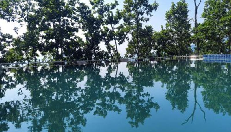 Apartment - Blue Pine Orchards - Villas