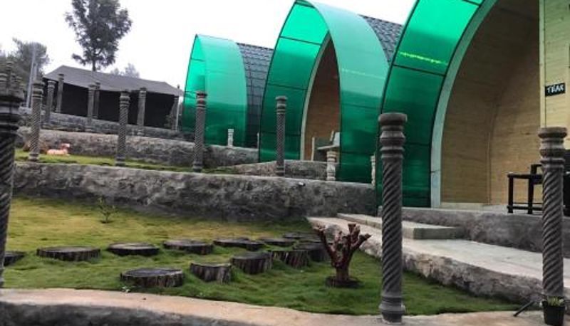 Info - The Den by Trees