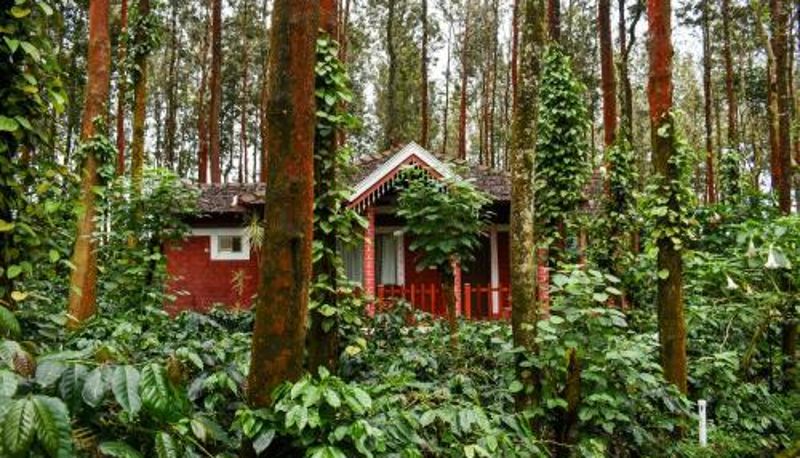 Info - Coffee Grove Resort