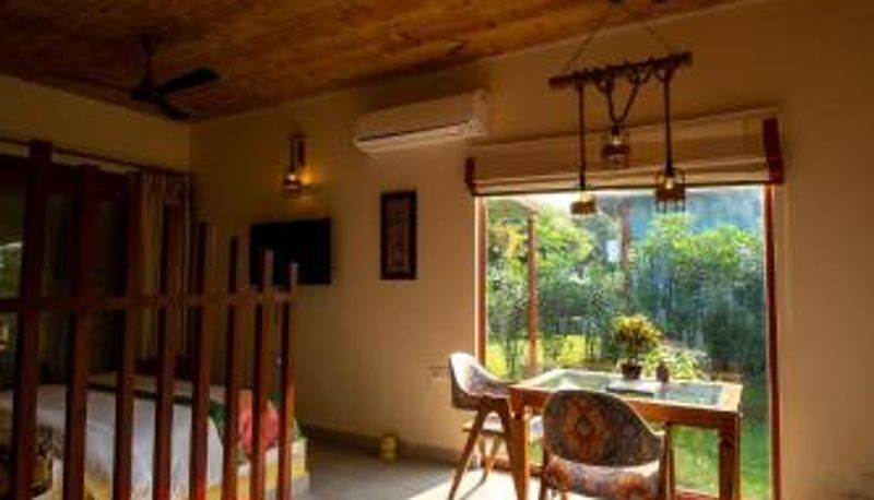 Zimmer - Tree of Life Ecotainers Agra