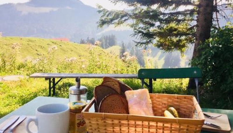 Info - Bründling-Alm Berggasthof auf 1167m auf dem Hochfelln