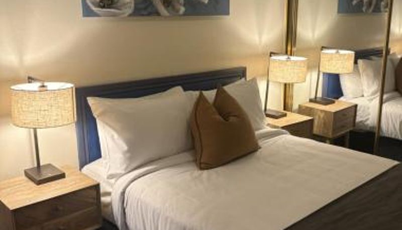 Standardzimmer - Tall Timbers Motel