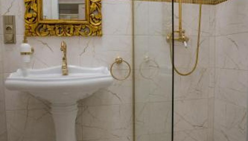 Cuarto de baño - Zámek Kvasetice
