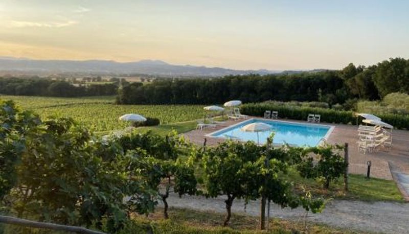 Piscina - Poggio alle Vigne