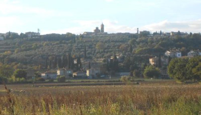 Información - Orto degli Ulivi