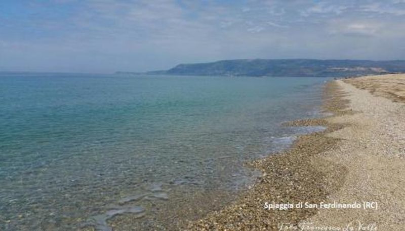 Info - Rosa Di Mare